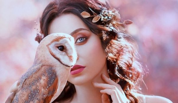 Толкование снов по дням месяца. Самый полный список