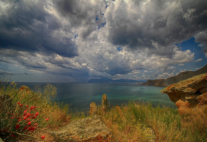 атрибут альт 