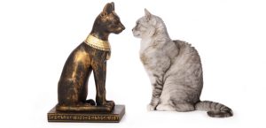 Египетская кошка — что символизирует статуэтка