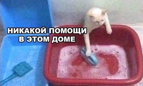 02d252efa0b399b57c436a975ddb66cf